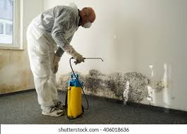 Professional Mold Remediation in Buckeye, AZ